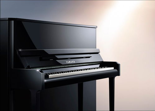 珠江鋼琴回收 西寧二手鋼琴回收免費(fèi)估價(jià)