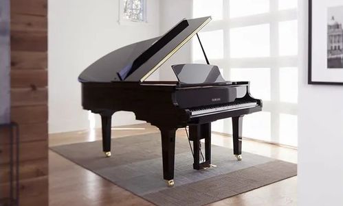 產(chǎn)品介紹 dkv系列 寰宇共曲,身臨琴境